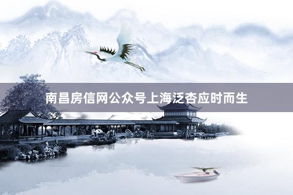 南昌房信网公众号上海泛杏应时而生